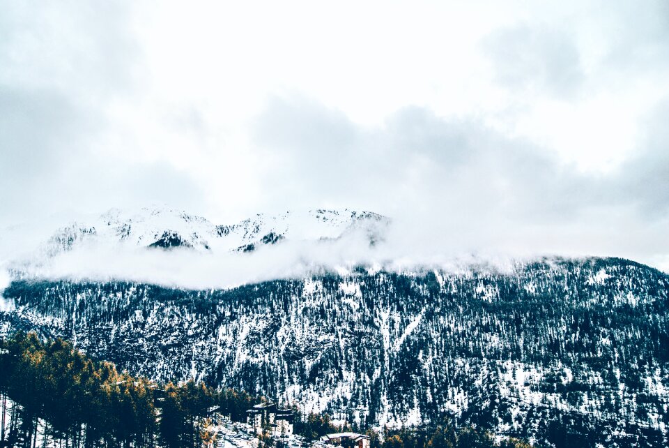 Peak forest winter