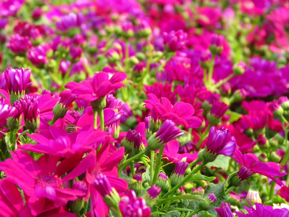 Plant bright supplies