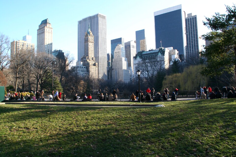 Central park nyc winter