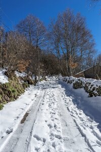 Winter landscape nature photo