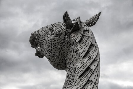 Sculpture equine horse photo