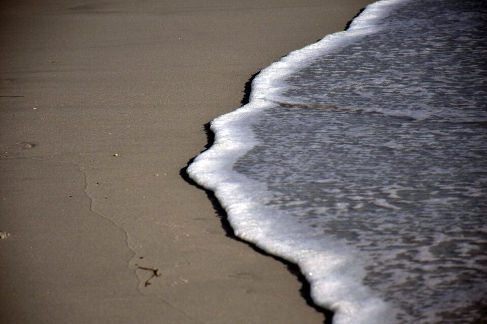 Ocean nature summer