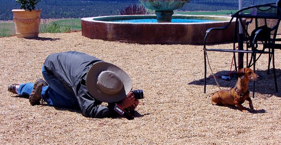 Photographer love for animals pet