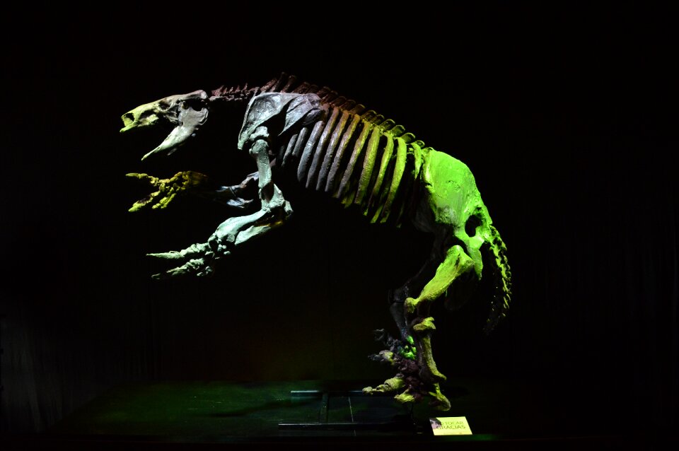 Sample technopolis skeleton
