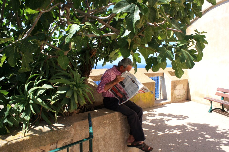 Read newspaper morning relax