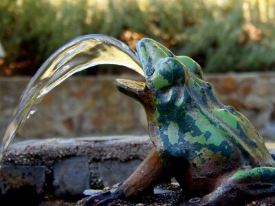 Source frog water