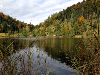 Bad aussee nature landscape