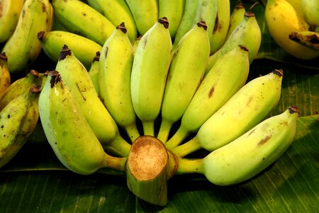 Tropical health food