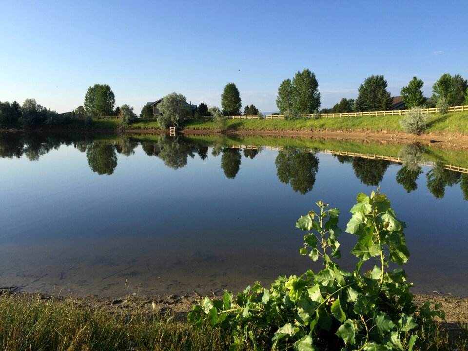 Lake landscape