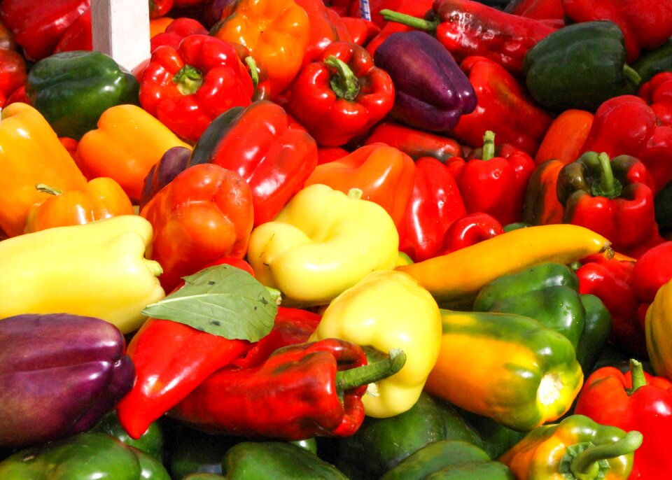 Fresh food healthy