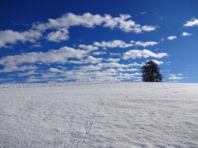 Trails snow horizon photo