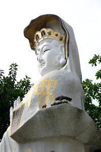 Love compassion asia