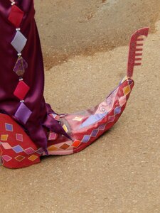 Shoes disguise colors