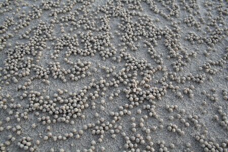 Sand outdoor