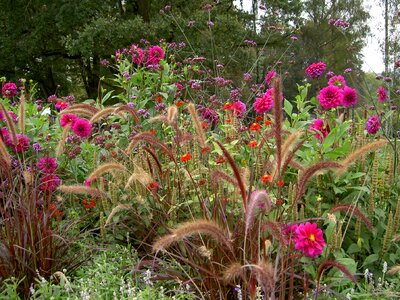 Botanica bad schallerbach upper austria