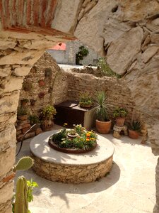 Cactus garden nature