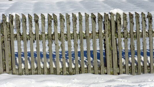 Paling garden fence delimit