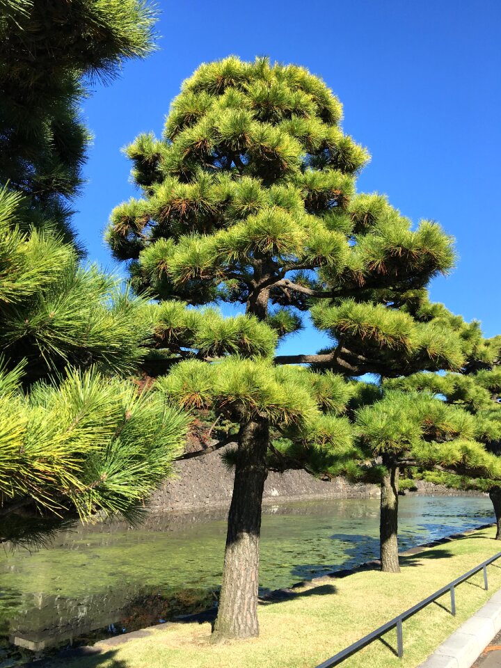 Landscape japan
