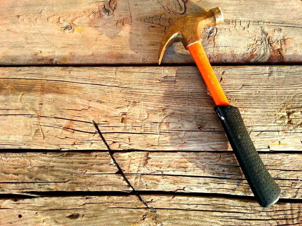Summer construction site tree