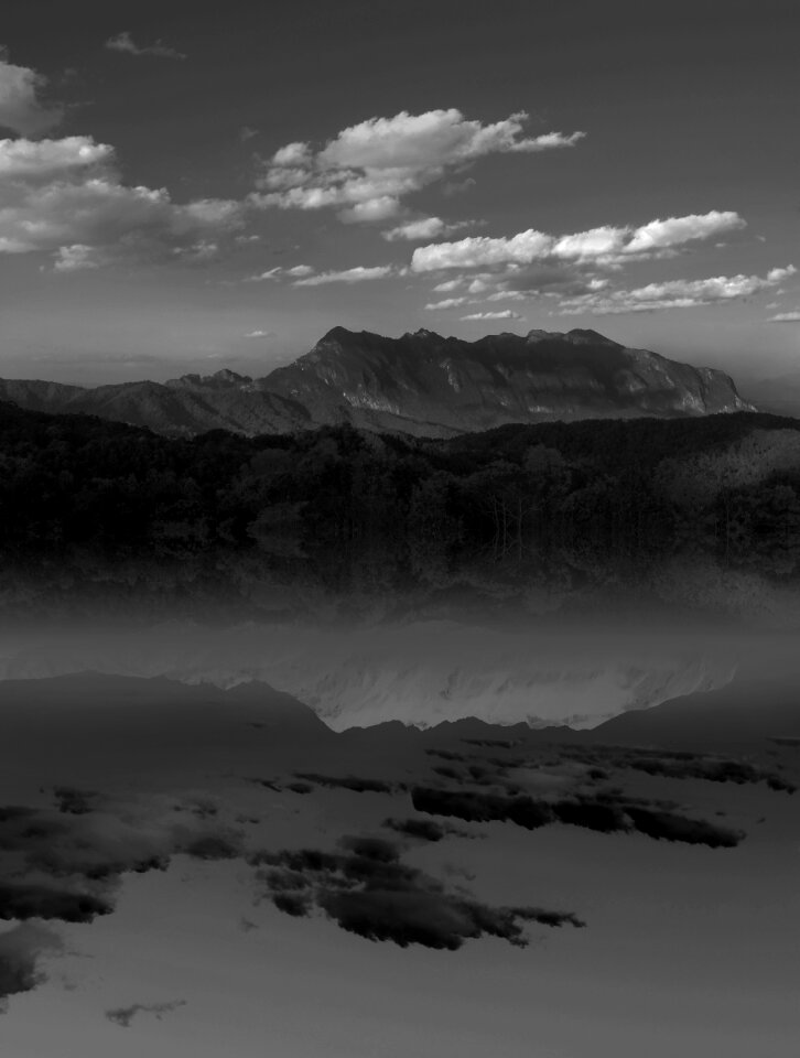 Landscape b w black white