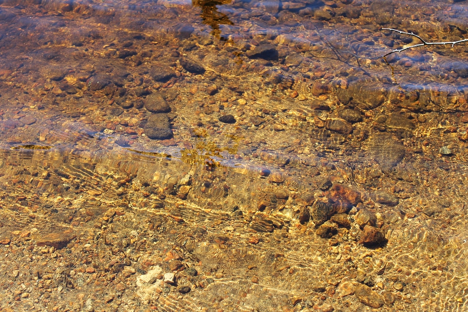 Nature wet flowing