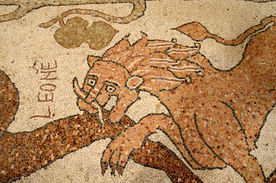 Basilica otranto lion