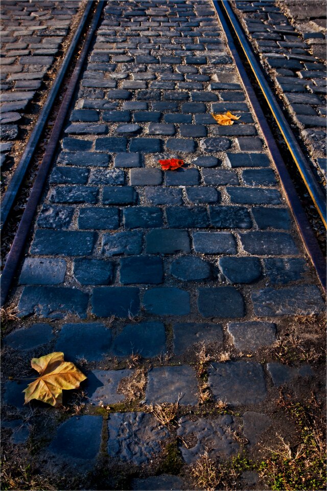 Railroad transport transportation
