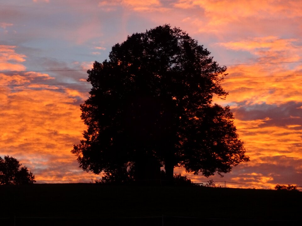 Natural monument morgenstimmung red sky photo