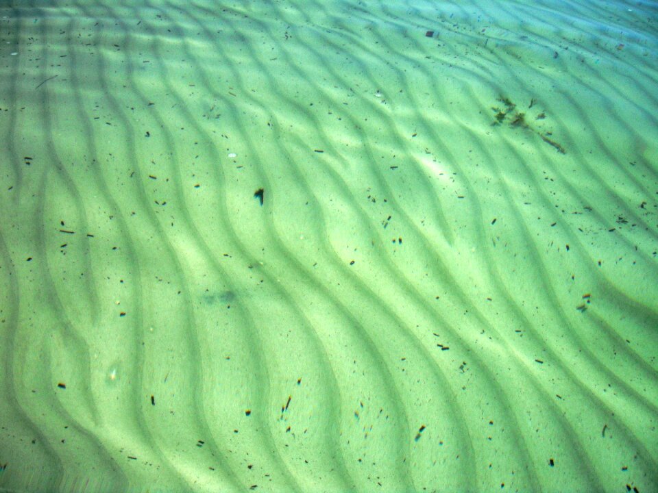 Ripples underwater green