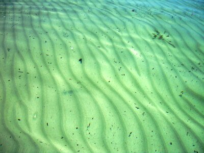 Ripples underwater green photo