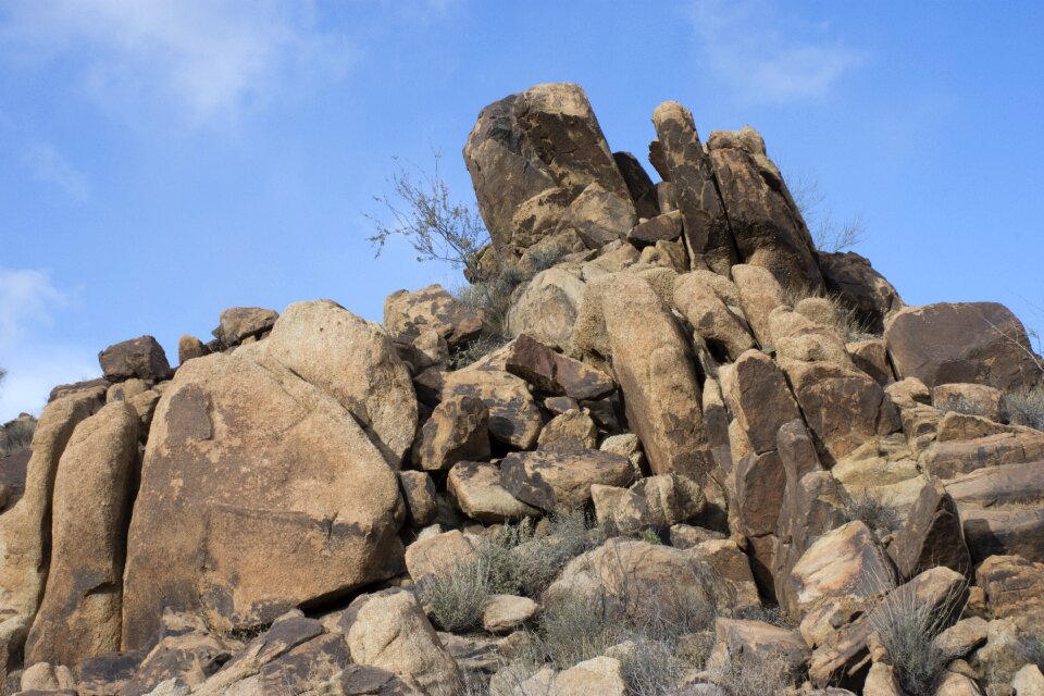 Arizona mohave county desert