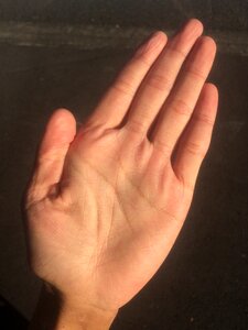 Bleaching palm reading young