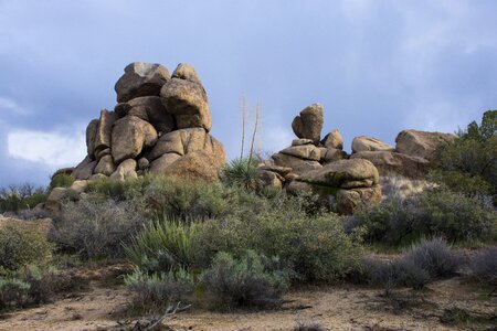 Arizona mohave county desert photo