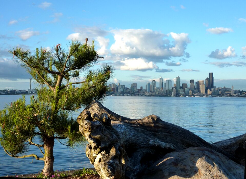 Washington usa skyline