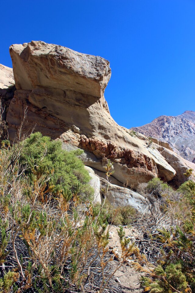 Chile valley cochiguaz