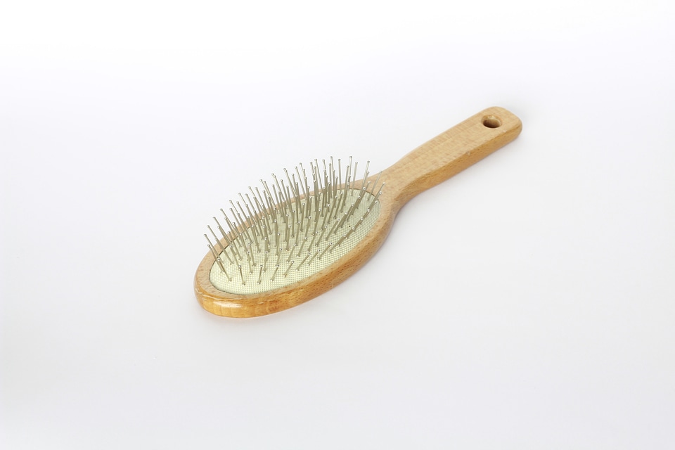 Hair beauty brush