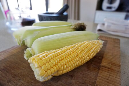 Vegetarian corncob fresh