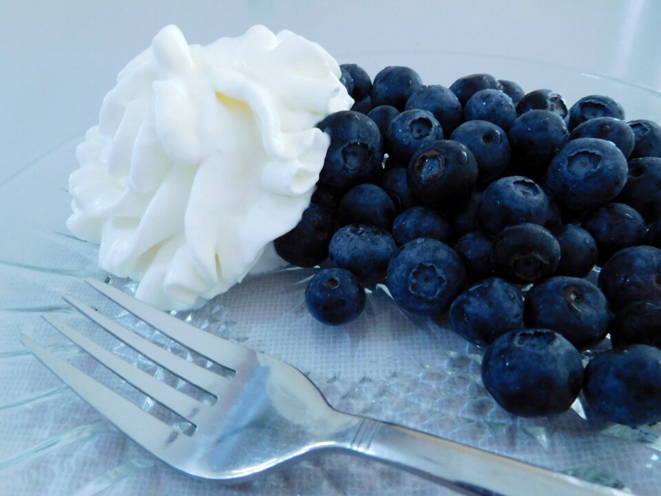 Dessert food blue dessert
