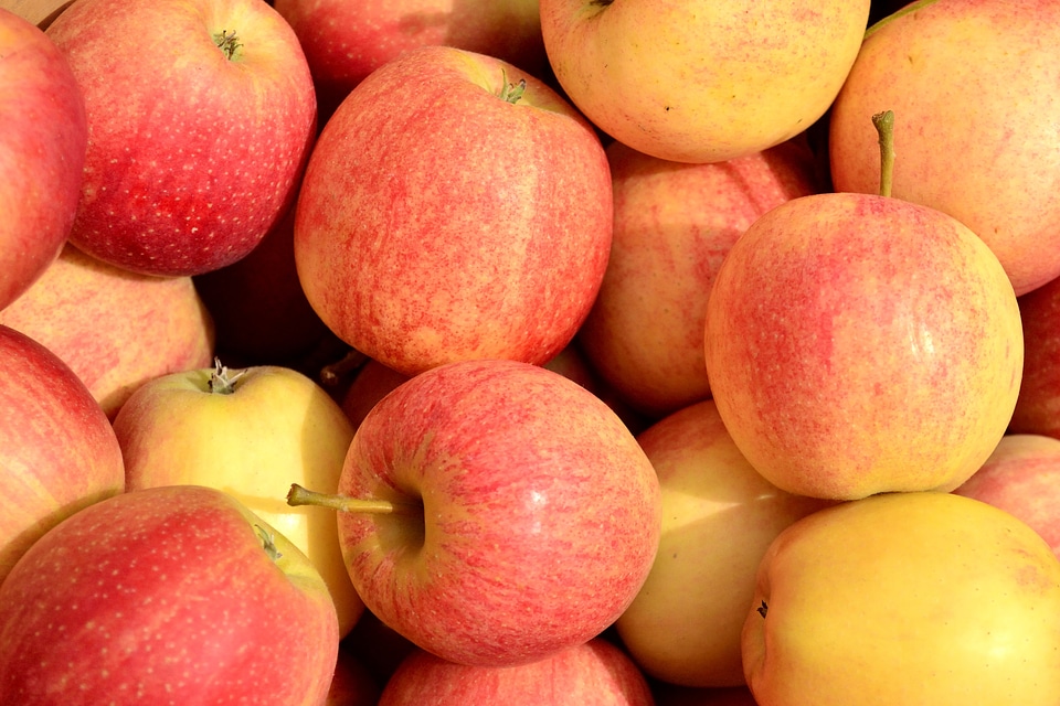 Fruit food autumn