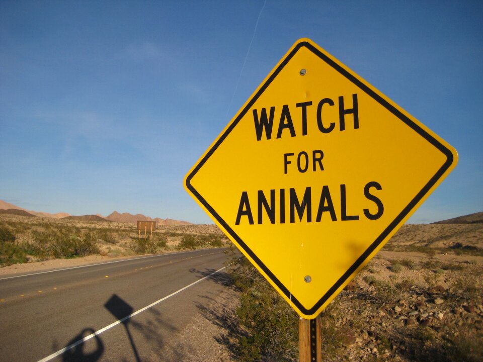 Sign desert