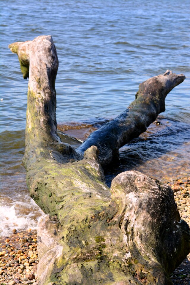 Beach nature sea
