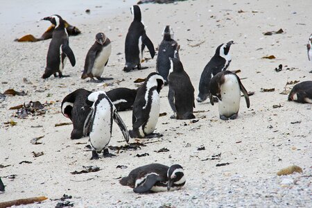 Beautiful beach boulders beach
