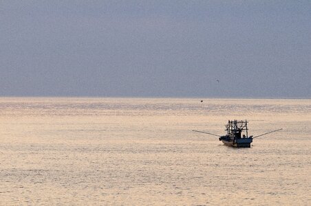 Fishing evening horizon photo