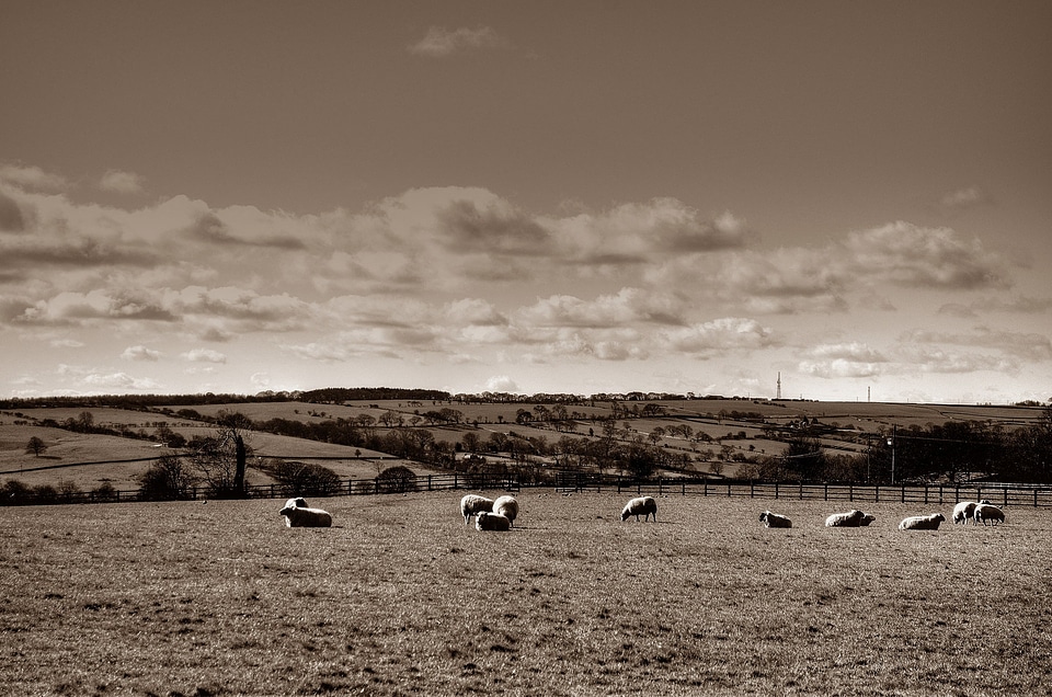 Yorkshire autumn england