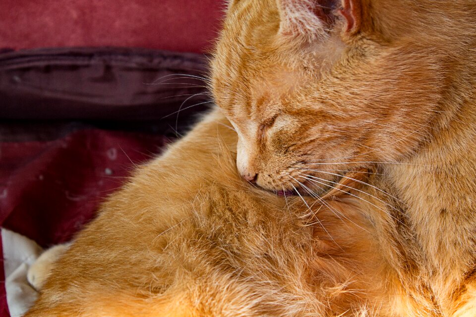Sweet cute relaxed