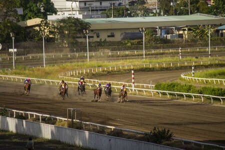 Racecourse race horse track photo