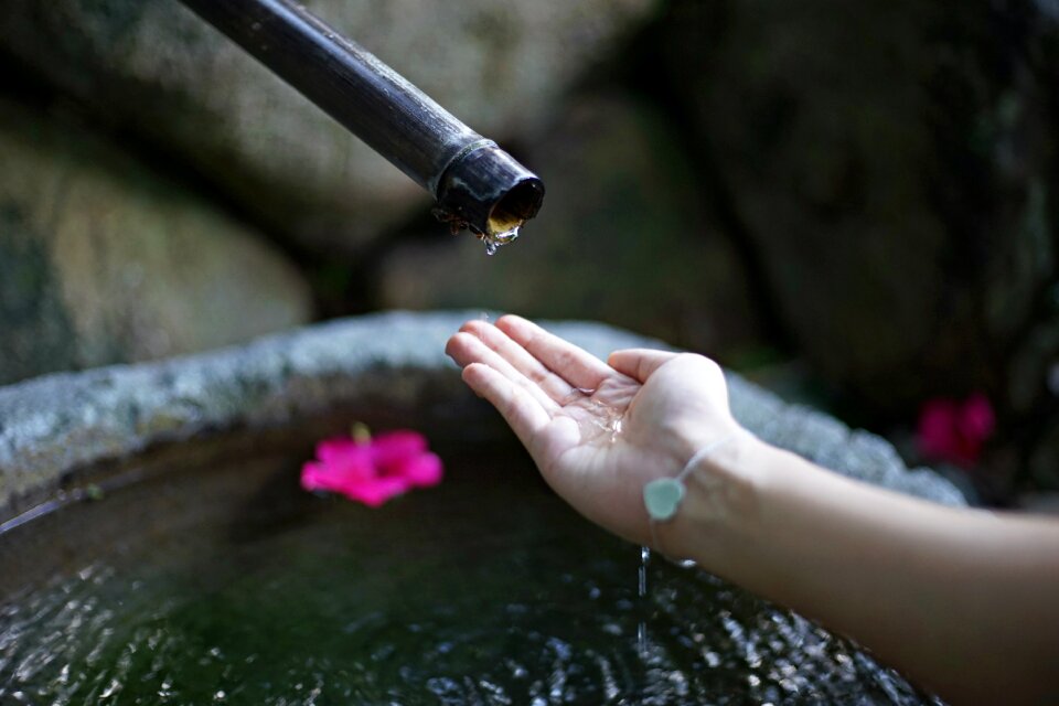 Nature water leaf