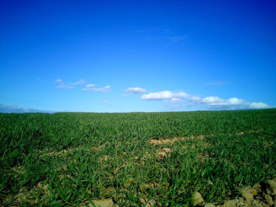 Nature green agriculture