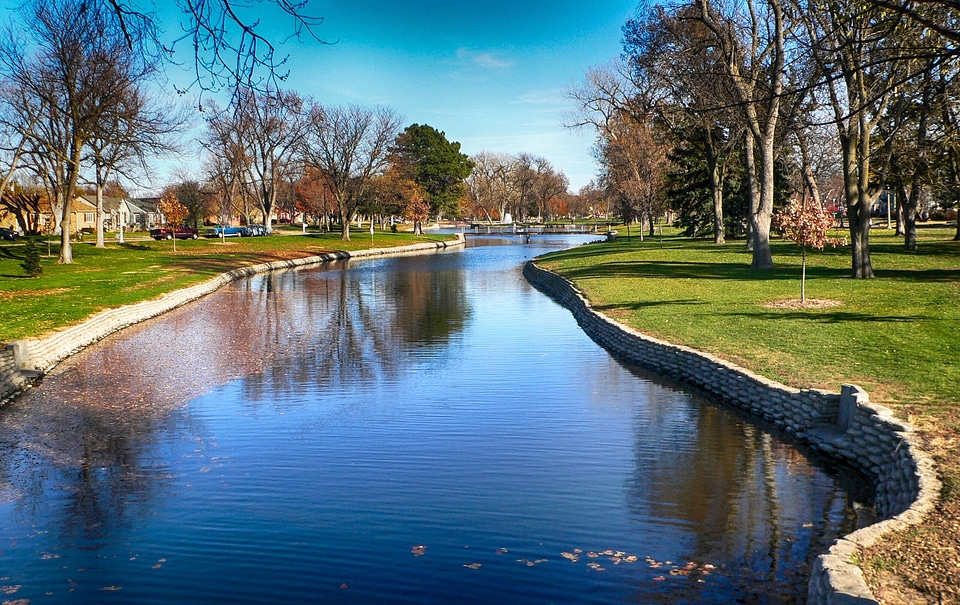 Trees lake canal