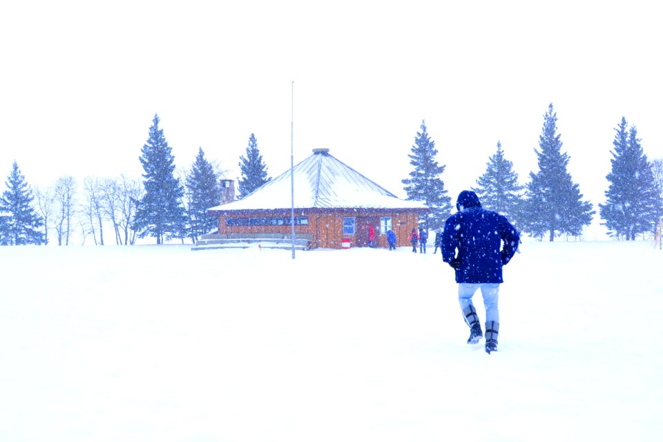 House scenery white ground
